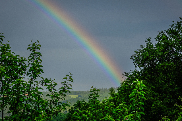 over the rainbow - photo by mripp on Flickr CC