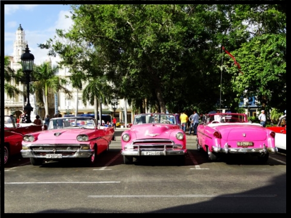 beautiful vintage cars are all over Havana