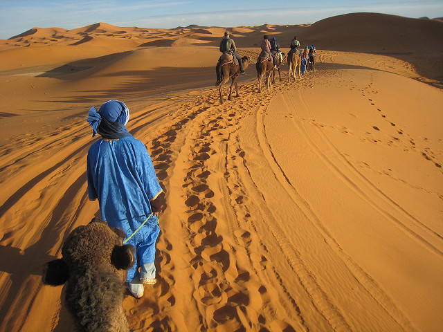 camel trek - photo by das21 on Flickr CC