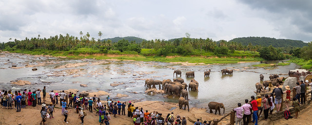 elephant bathing at Pinnawala - photo by Kevin_Lavorgna on Flickr CC
