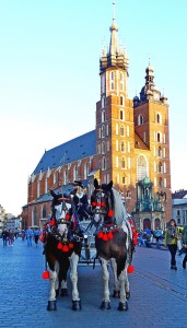 Horses in Krakow 6
