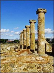 UNESCO ARch Site Paphos 6