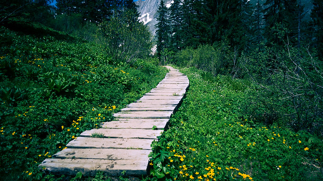 photo by wisigreter on Flickr CC